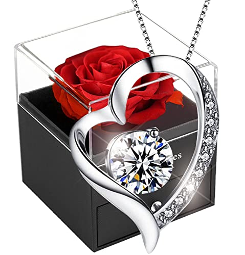 Enchanted Red Rose & Necklace Gift Set