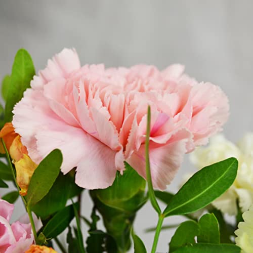 Carnation Mix Bouquet for Special Occasions