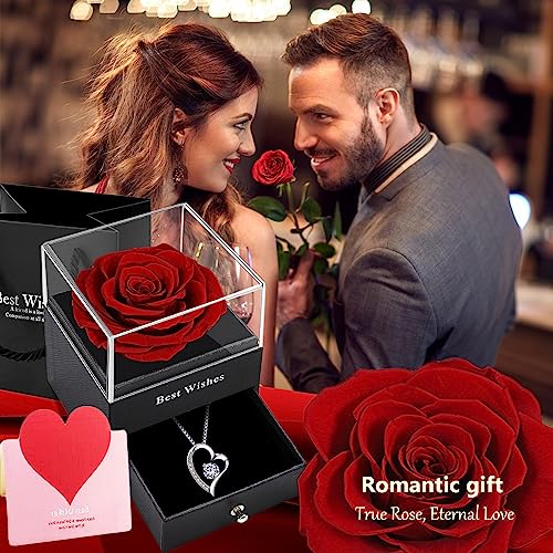 Enchanted Red Rose & Necklace Gift Set
