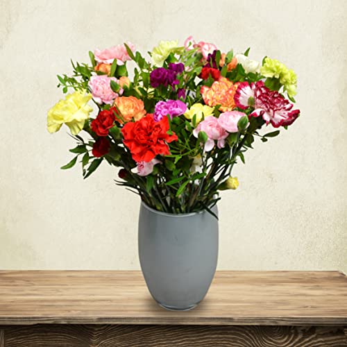 Carnation Mix Bouquet for Special Occasions