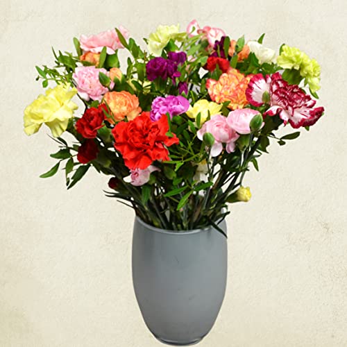 Carnation Mix Bouquet for Special Occasions