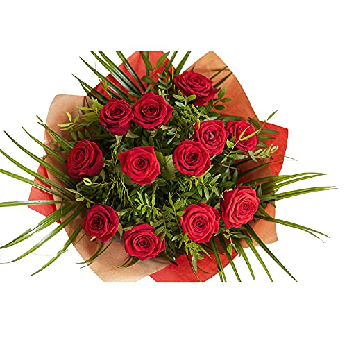 Red King Rose Fresh Cut Flowers Perfect for Birthday - Anniversary - Lovely Gift - Free Next Working Day Flower delivery - Winter Flowers