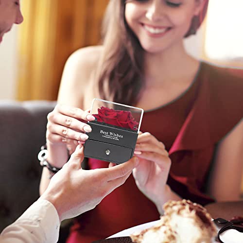 Enchanted Red Rose & Necklace Gift Set