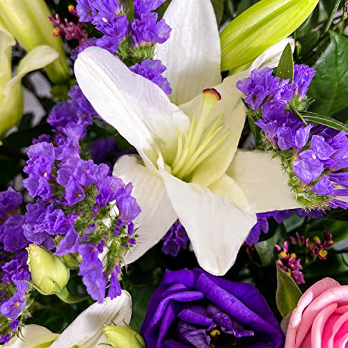 Purple Passion Hand Tied Fresh Flowers, Fresh Flowers Delivered Next Day Prime Delivery, Flowers Fresh Bouquet, Perfect for Birthdays, Anniversaries and Thank You Gifts