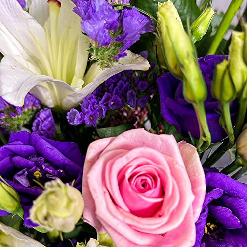 Purple Passion Hand Tied Fresh Flowers, Fresh Flowers Delivered Next Day Prime Delivery, Flowers Fresh Bouquet, Perfect for Birthdays, Anniversaries and Thank You Gifts
