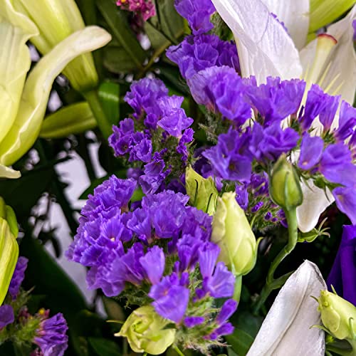 Purple Passion Hand Tied Fresh Flowers, Fresh Flowers Delivered Next Day Prime Delivery, Flowers Fresh Bouquet, Perfect for Birthdays, Anniversaries and Thank You Gifts