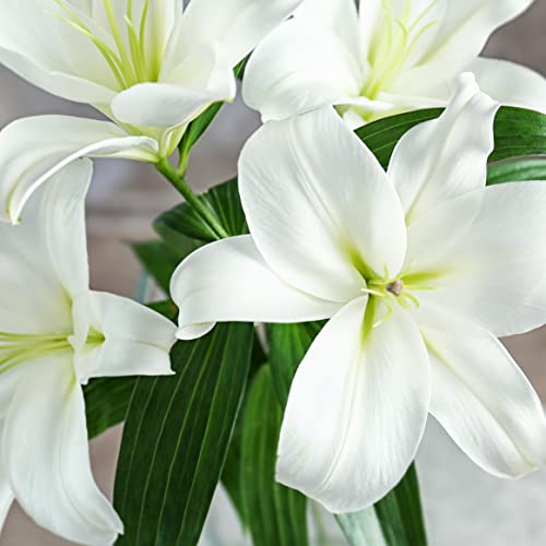 Stunning White Lily Bouquet - Scented Gift