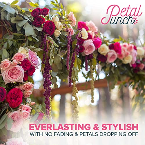 PetalPunch Artificial Roses - Pack of 25