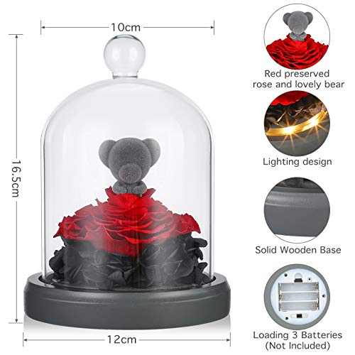 Preserved Eternal Rose Teddy Bear with LED Lights