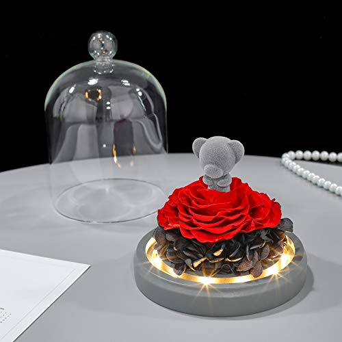 Preserved Eternal Rose Teddy Bear with LED Lights