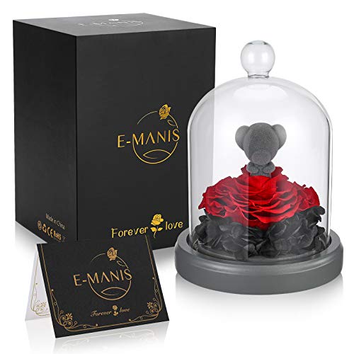 Preserved Eternal Rose Teddy Bear with LED Lights