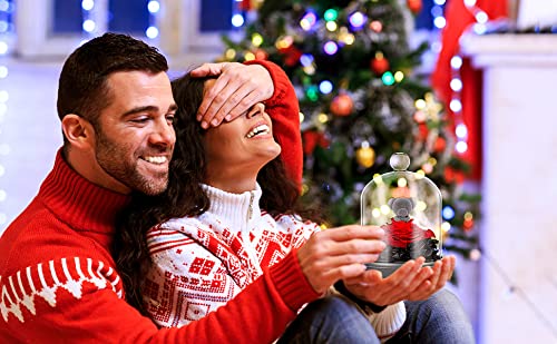 Preserved Eternal Rose Teddy Bear with LED Lights