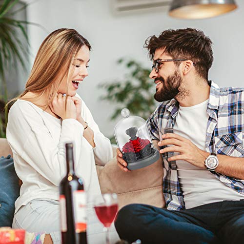 Preserved Eternal Rose Teddy Bear with LED Lights