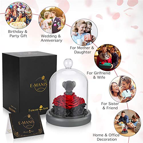 Preserved Eternal Rose Teddy Bear with LED Lights