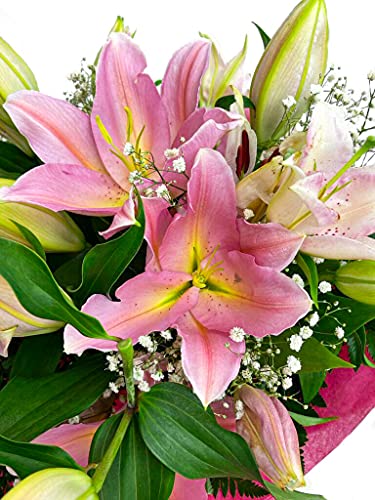 Luxury Lilly - Flowers Delivery Next Day Prime Suitable for Thank You Birthday Congratulations Get Well Soon - Anniversary and more - Best Gift Is A Fresh Flower Bouquet