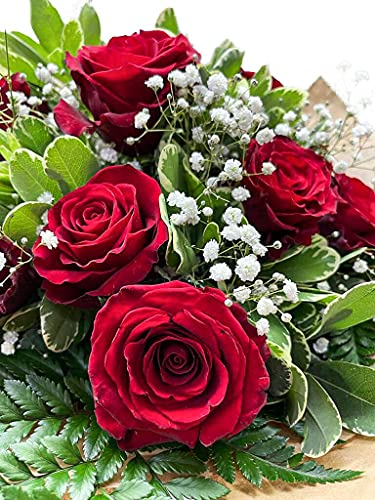 Velvet Bouquet: Perfect for All Occasions