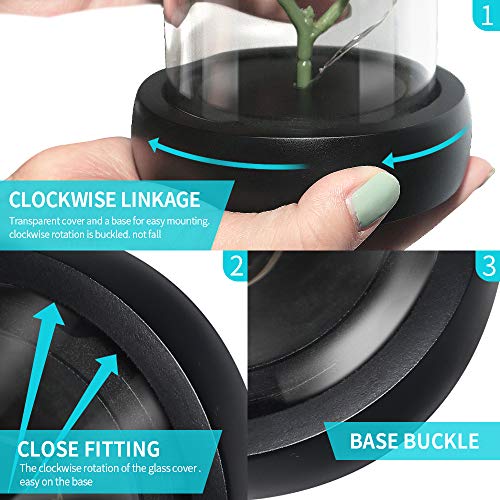 Enchanted Red Silk Rose in Light Dome