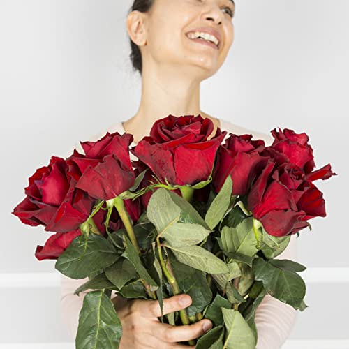 Realistic Single Stem Red Roses Bouquet