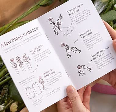 ZING Fresh Flowers Next Day delivery - Let Them Know You’re Thinking of Them with A Gorgeous Bouquet Flowers,