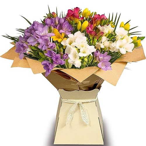 Fresh Freesia Bouquet Perfect for Celebrations