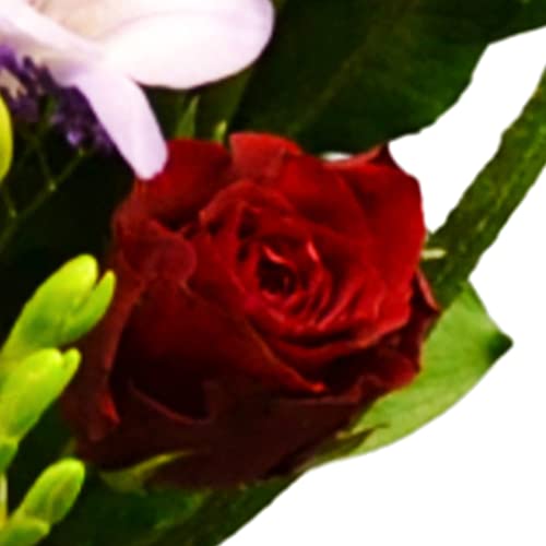 Mini Love struck Flower Letterbox Bouquet, Create at Home Fresh Flowers, Fresh Flowers Delivered Next Day Prime Delivery, Flowers Fresh Bouquet for Birthdays, Thank You Gifts etc.