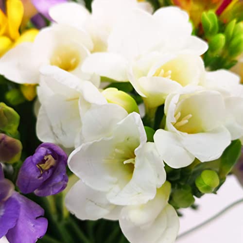 Fresh Freesia Bouquet Perfect for Celebrations