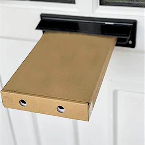 Mini Love struck Flower Letterbox Bouquet, Create at Home Fresh Flowers, Fresh Flowers Delivered Next Day Prime Delivery, Flowers Fresh Bouquet for Birthdays, Thank You Gifts etc.