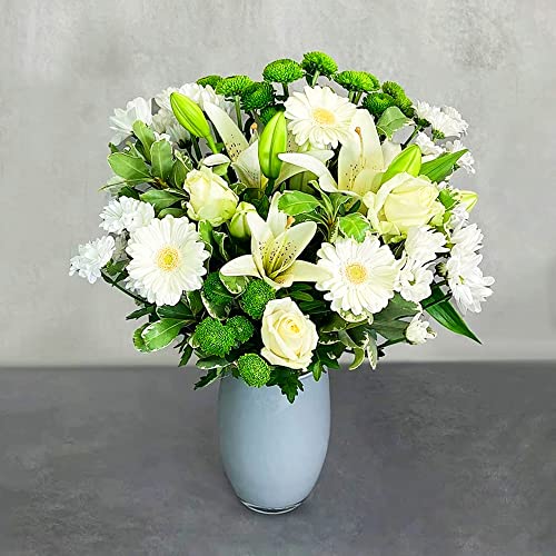 White Simplicity Hand Tied Bouquet Fresh Flowers, Fresh Flowers Delivered Next Day Prime Delivery, Flowers Fresh Bouquet, Perfect for Birthdays, Anniversaries and Thank You Gifts
