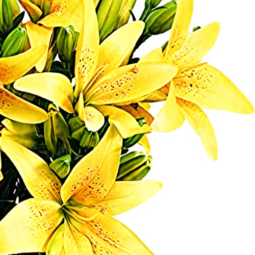 Yellow Lily Bouquet for Birthdays and Anniversaries