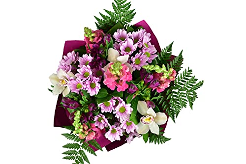 Natural Elegance, Fresh Cut Online Flowers Perfect for Birthday, Anniversary, Thank You, Get Well, Congrats Gift, Next Working Day Delivery Prime