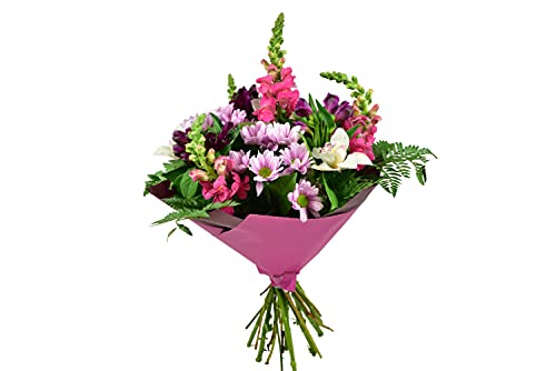 Natural Elegance, Fresh Cut Online Flowers Perfect for Birthday, Anniversary, Thank You, Get Well, Congrats Gift, Next Working Day Delivery Prime