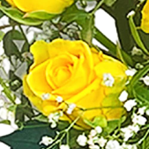 Dozen Yellow Rose Bouquet Beautiful Fresh Flowers, Fresh Flowers Delivered Next Day Prime Delivery, Flowers Fresh Bouquet, Perfect for Birthdays, Anniversaries and Thank You Gifts.