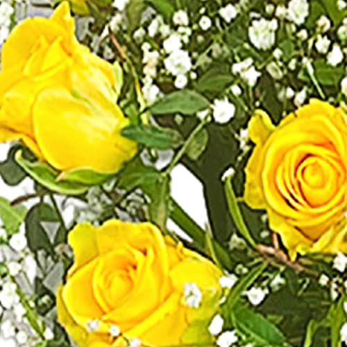 Dozen Yellow Rose Bouquet Beautiful Fresh Flowers, Fresh Flowers Delivered Next Day Prime Delivery, Flowers Fresh Bouquet, Perfect for Birthdays, Anniversaries and Thank You Gifts.