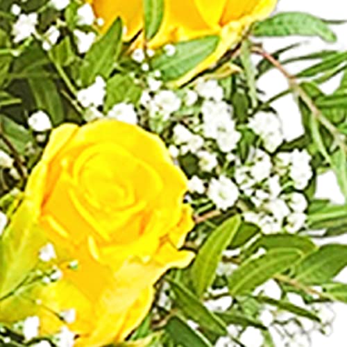 Dozen Yellow Rose Bouquet Beautiful Fresh Flowers, Fresh Flowers Delivered Next Day Prime Delivery, Flowers Fresh Bouquet, Perfect for Birthdays, Anniversaries and Thank You Gifts.