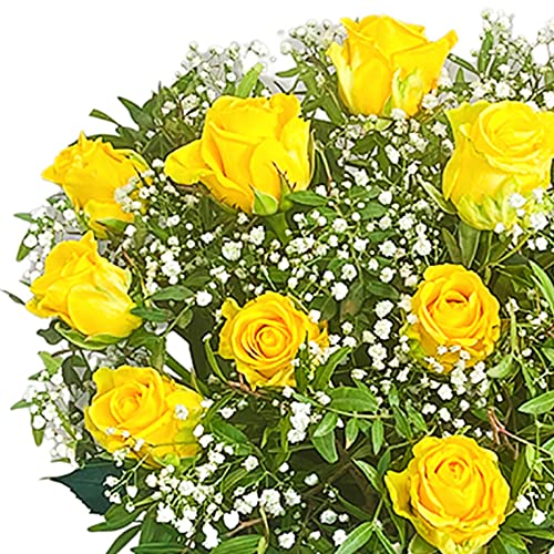 Dozen Yellow Rose Bouquet Beautiful Fresh Flowers, Fresh Flowers Delivered Next Day Prime Delivery, Flowers Fresh Bouquet, Perfect for Birthdays, Anniversaries and Thank You Gifts.