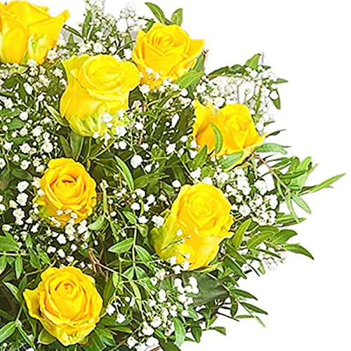 Dozen Yellow Rose Bouquet Beautiful Fresh Flowers, Fresh Flowers Delivered Next Day Prime Delivery, Flowers Fresh Bouquet, Perfect for Birthdays, Anniversaries and Thank You Gifts.