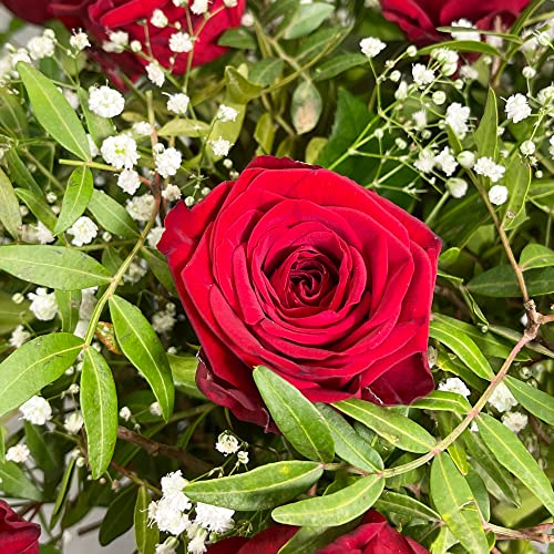 Red Rose Bouquet: Perfect for Special Occasions