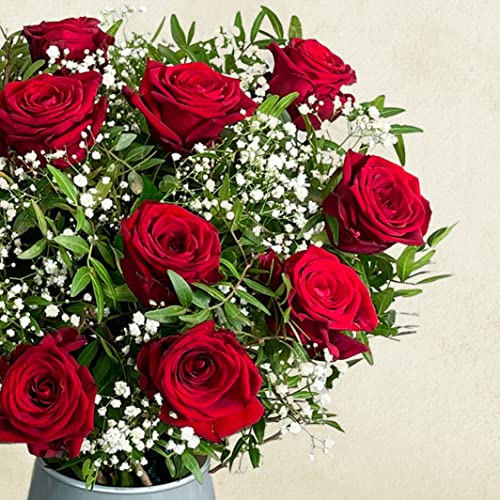 Red Rose Bouquet: Perfect for Special Occasions