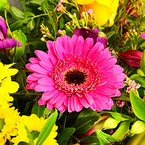 Vibrant Hand Tied Mixed Fresh Flowers, Delivered UK Next Day, Stunning Floral Bouquet of Beautiful Colour for Mother's Day, Birthdays, or Just Because