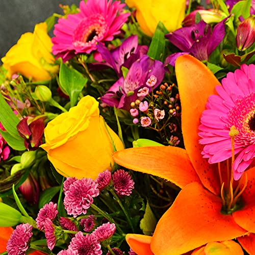 Vibrant Hand Tied Mixed Fresh Flowers, Delivered UK Next Day, Stunning Floral Bouquet of Beautiful Colour for Mother's Day, Birthdays, or Just Because