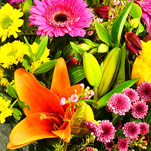 Vibrant Hand Tied Mixed Fresh Flowers, Delivered UK Next Day, Stunning Floral Bouquet of Beautiful Colour for Mother's Day, Birthdays, or Just Because