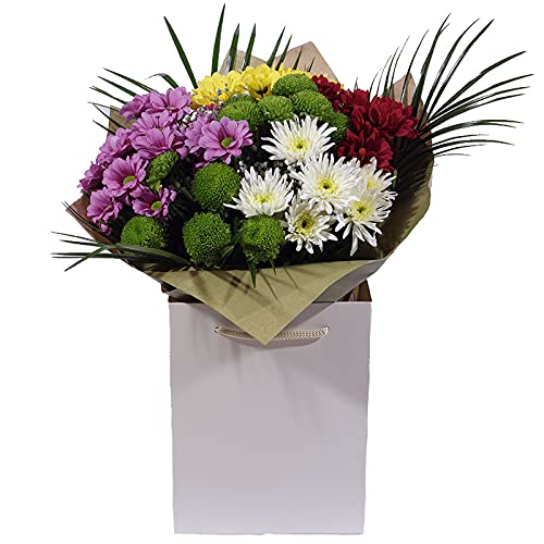 Fresh Cut Bouquets for Every Occasion