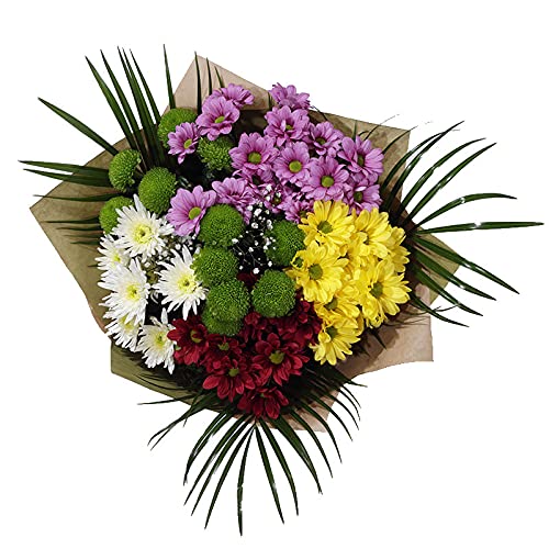 Fresh Cut Bouquets for Every Occasion