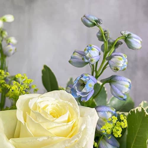 Ocean Breeze Bouquet Beautiful Fresh Flowers, Fresh Flowers Delivered Next Day Prime Delivery, Flowers Fresh Bouquet, Perfect for Birthdays, Anniversaries and Thank You Gifts.