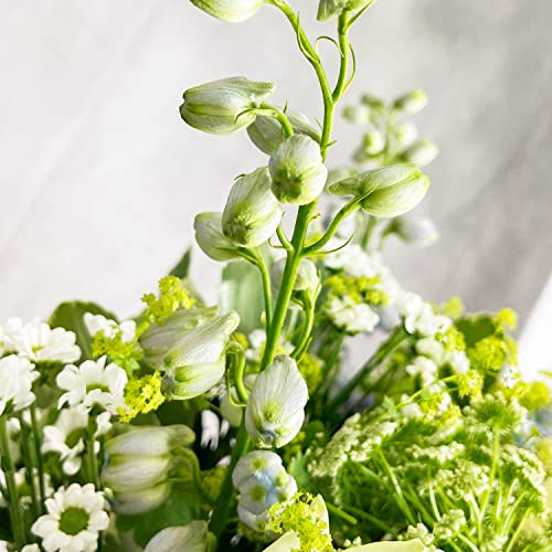 Ocean Breeze Bouquet Beautiful Fresh Flowers, Fresh Flowers Delivered Next Day Prime Delivery, Flowers Fresh Bouquet, Perfect for Birthdays, Anniversaries and Thank You Gifts.