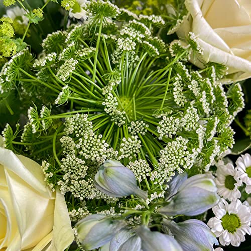 Ocean Breeze Bouquet Beautiful Fresh Flowers, Fresh Flowers Delivered Next Day Prime Delivery, Flowers Fresh Bouquet, Perfect for Birthdays, Anniversaries and Thank You Gifts.