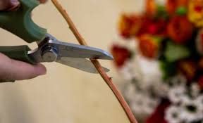 Beautiful Bouquet Fresh flowers Next Day prime Delivery, Select Stunning Colourful Fresh Mixed Flowers To Create The Perfect Anniversary Flowers - Birthday Flowers Thank Gift,