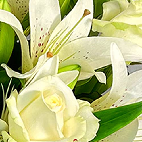 White Harmony - White Rose and Lily Fresh Flowers Delivered, Luxury Bouquet with Free UK Next Day Delivery, with Message Card Real Flower Gift for Birthday, Anniversary, Thank You, Get Well Gifts