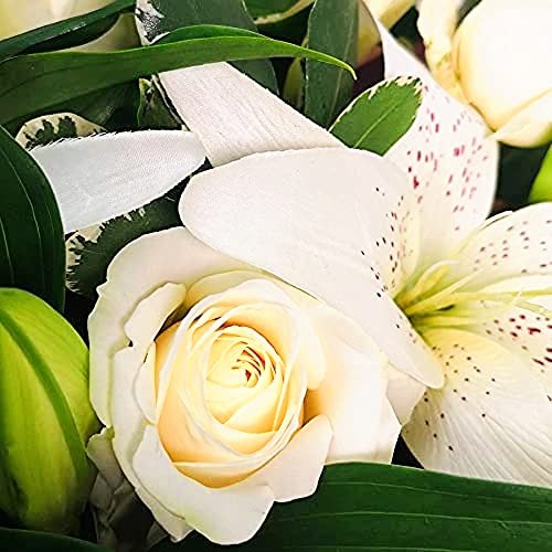 White Harmony - White Rose and Lily Fresh Flowers Delivered, Luxury Bouquet with Free UK Next Day Delivery, with Message Card Real Flower Gift for Birthday, Anniversary, Thank You, Get Well Gifts
