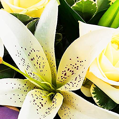 White Harmony - White Rose and Lily Fresh Flowers Delivered, Luxury Bouquet with Free UK Next Day Delivery, with Message Card Real Flower Gift for Birthday, Anniversary, Thank You, Get Well Gifts